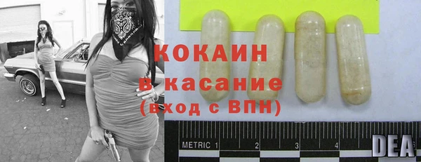 дживик Богородск
