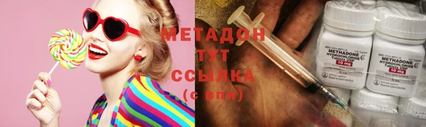 дмт Богданович