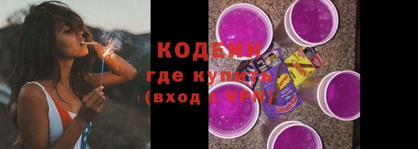дживик Богородск