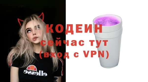 дживик Богородск