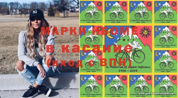 дмт Богданович