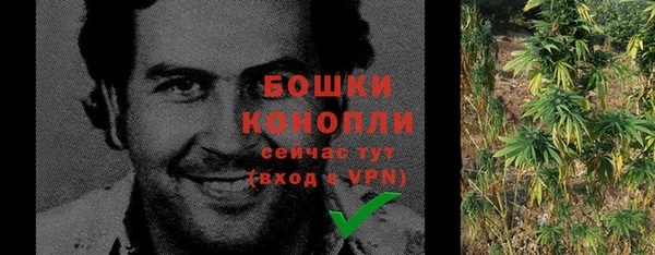 дживик Богородск