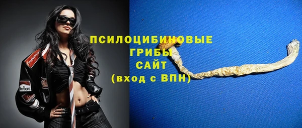 MDMA Premium VHQ Богородицк