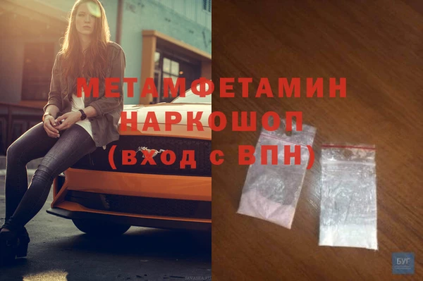 дмт Богданович