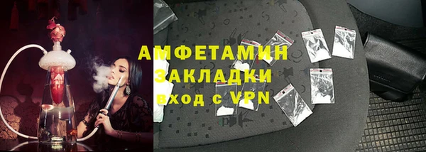 дмт Богданович