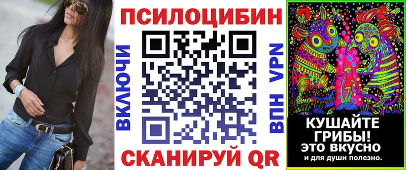 Псилоцибиновые грибы Cubensis купить наркотики сайты Юрьевец